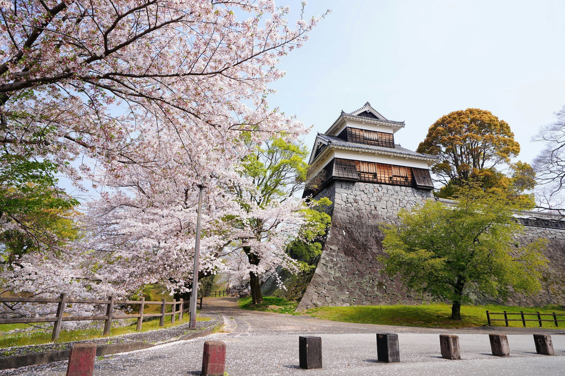熊本県のウォーターサーバーおすすめ人気9選【2026年9月】安いサーバーはどれ？