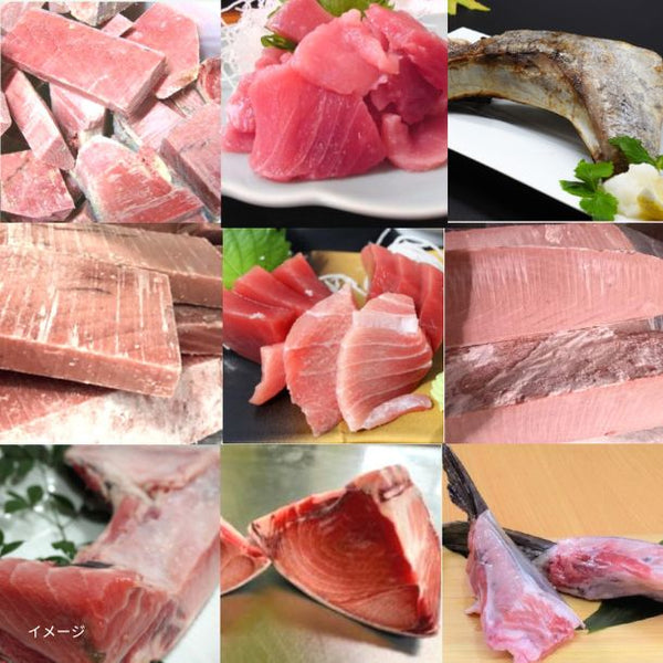 Kuradashi限定「訳あり鮪 福袋 3種以上約2kg」