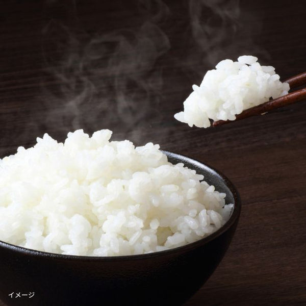 令和7年産「宮城県産 1等米 白米」