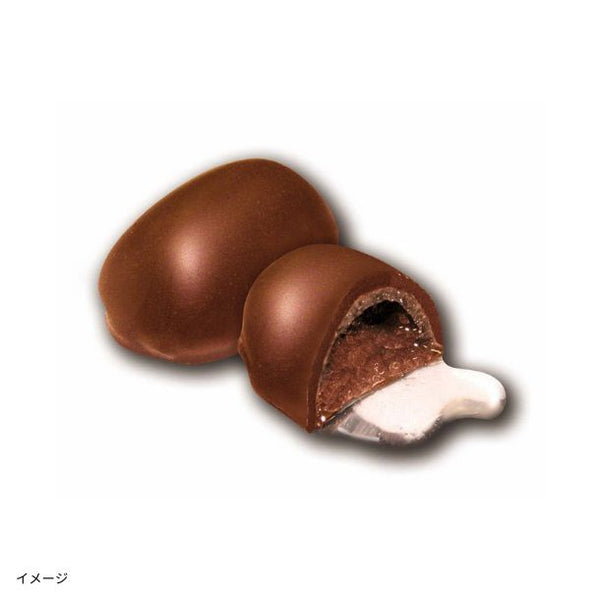 「日本酒ボンボンチョコレート 浜福鶴 生酛純米辛口（兵庫灘五郷）」