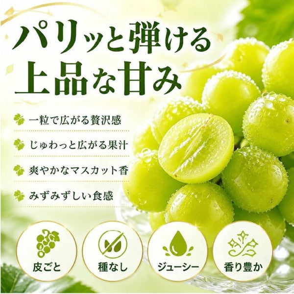 「産地ランダム シャインマスカット 2房」