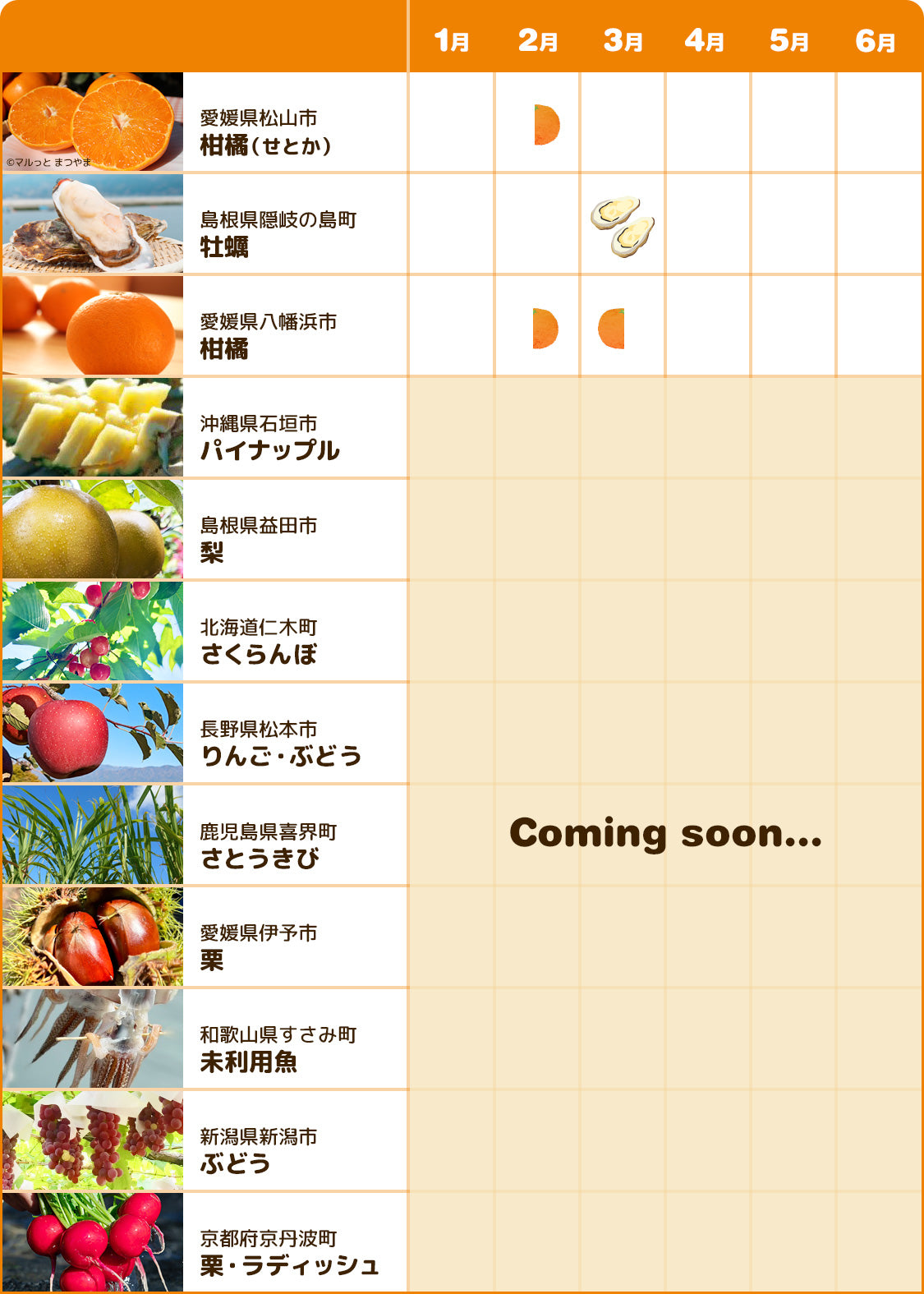 商品カレンダー