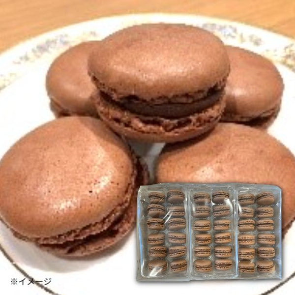 「ベルギー産冷凍マカロン チョコレート」