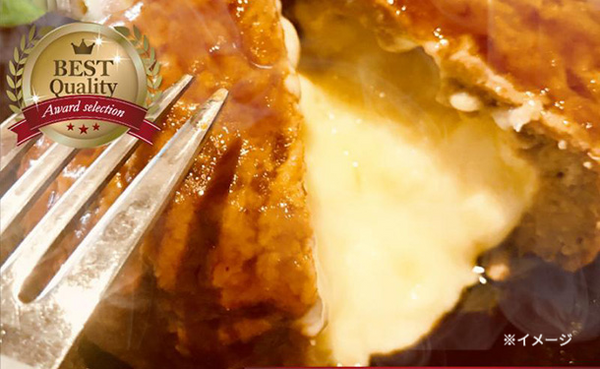 「ハンバーグ プレーン＆チーズイン 食べ比べ福袋」