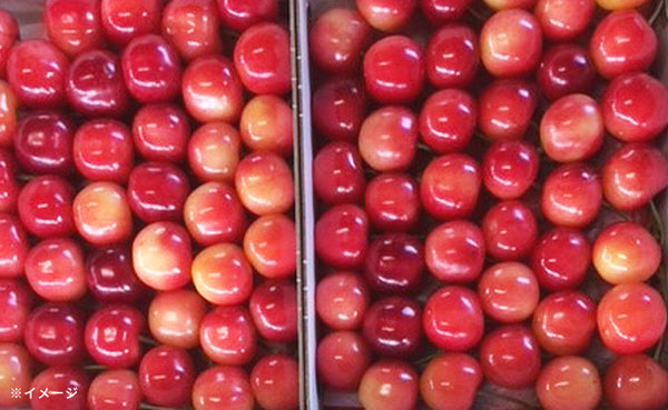 「紅秀峰お徳用バラ詰」