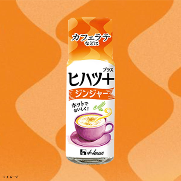 ハウス食品「ヒハツ＋ジンジヤー」