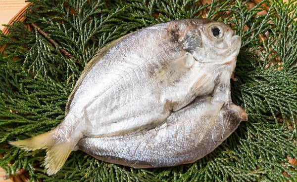「特大えぼだいの干物」