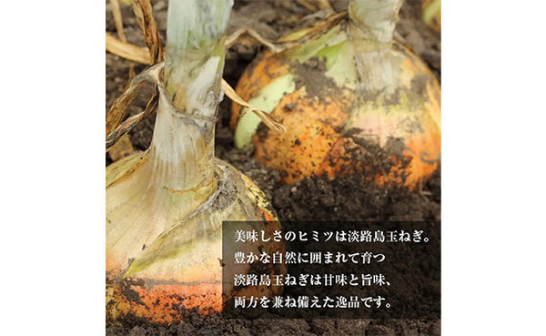 「淡路牛100％ハンバーグ」