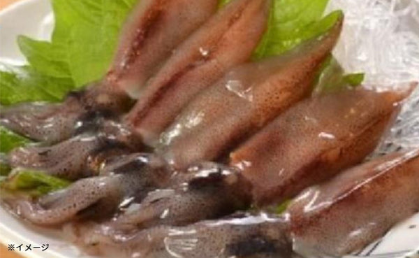 「Kuradashi限定 豪華海鮮福袋（高級食材含む）」