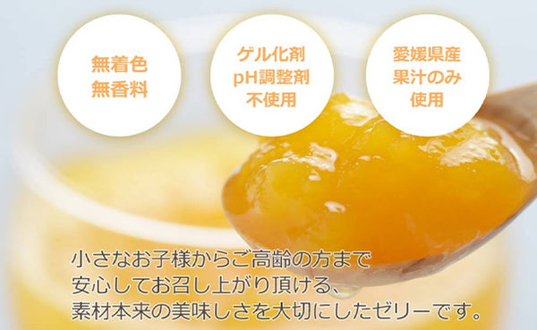愛媛県産「みかんゼリー 不知火」