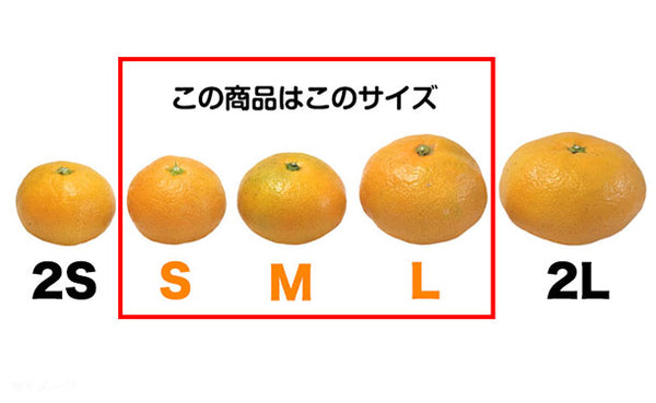 愛媛県産「訳あり 愛媛みかん（S-L）」