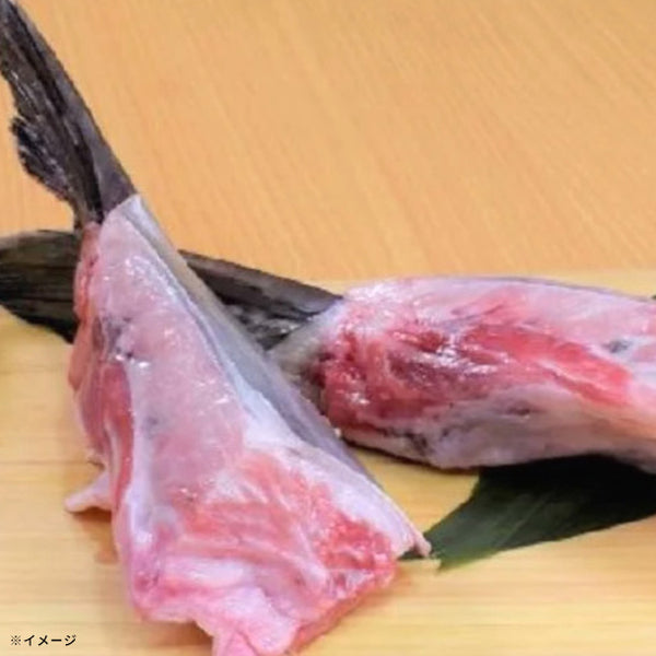 Kuradashi限定「訳ありマグロ福袋（中トロ入り） 4種」