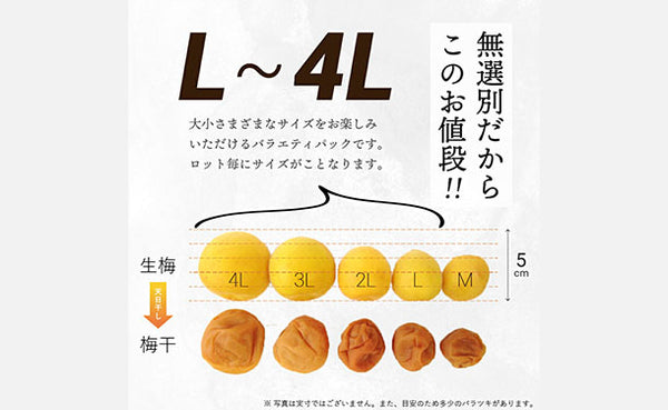 「紀州産南高梅 減塩 つぶれ梅 しそ漬味 梅干し 塩分3％」