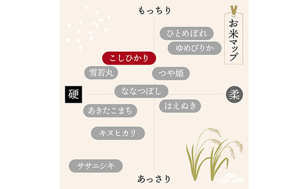「令和7年産 山形県産 こしひかり」
