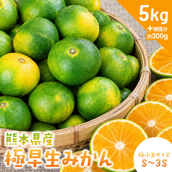 熊本県産「極早生みかん」