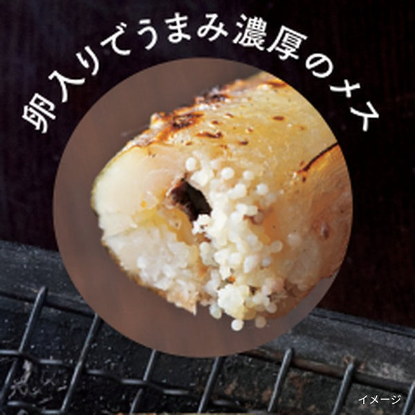 「本ししゃも メス」