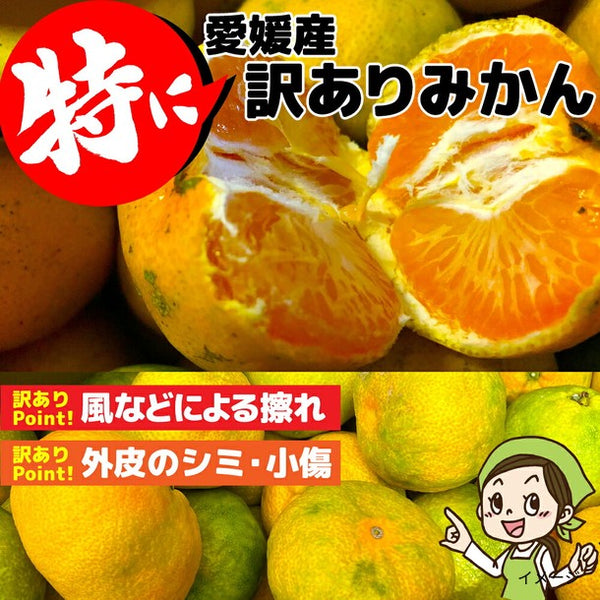 「産地おまかせ 特に訳ありみかん ジュース用・加工用」