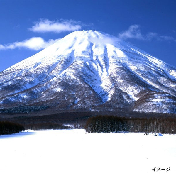 「北海道羊蹄山 名水珈琲ゼリー詰合せ MCJ-AE」