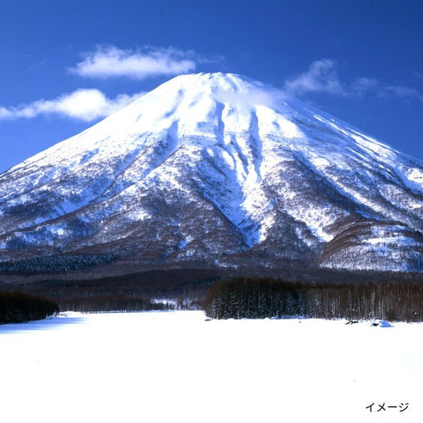 「北海道羊蹄山 名水珈琲ゼリー詰合せ MMC-CZ」