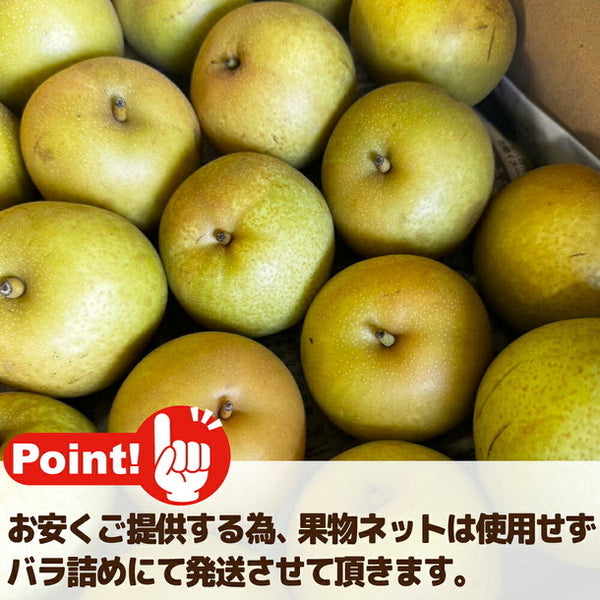 愛媛県産「訳あり和梨 小玉 加工用・ジュース用」