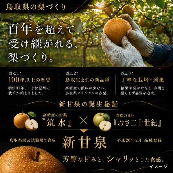 鳥取県産「梨 新甘泉（7-8玉入り）」