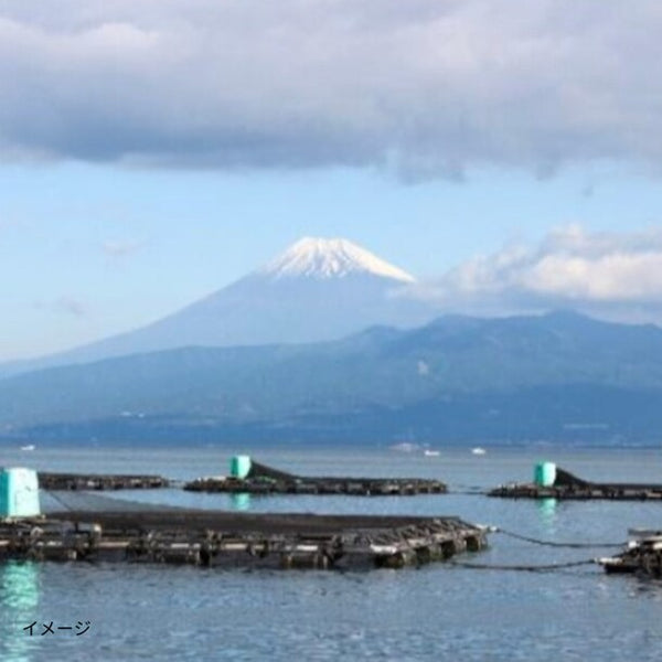「鯛の漬け刺身」