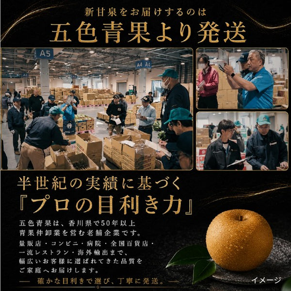 鳥取県産「梨 新甘泉（7-8玉入り）」