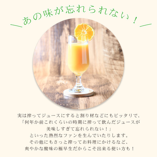 愛媛県産「極早生みかん 家庭用・サイズMIX」