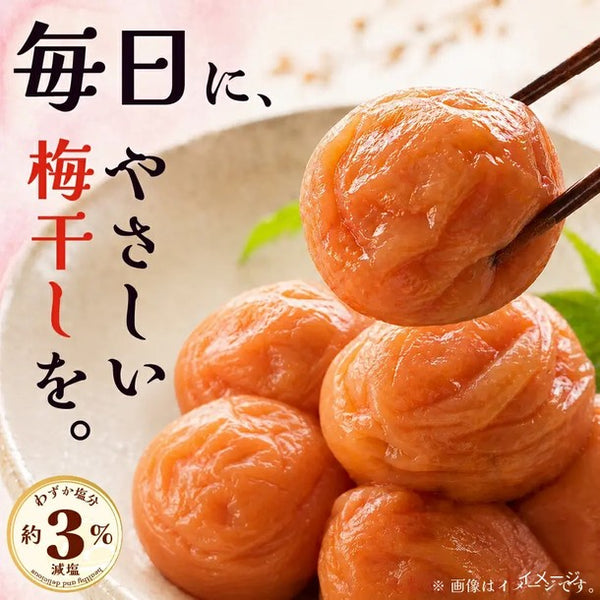「減塩 訳あり 紀州南高梅 うす塩さらり味 塩分3％」