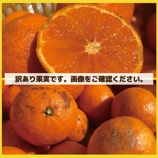 「産地おまかせ 特に訳ありみかん ジュース用・加工用」