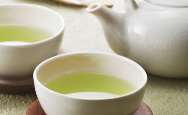「静岡銘茶 特上煎茶 秀」2缶（SH-370）