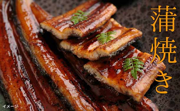 魚魚一「浜名湖うなぎの詰め合わせ（竹）」