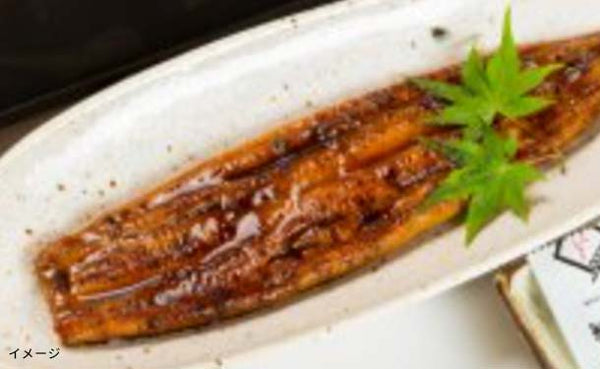 魚魚一「浜名湖うなぎの蒲焼」